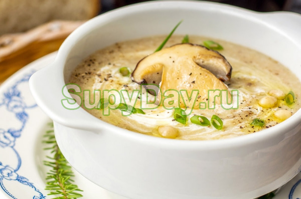 Сливочный суп с белыми грибами «Наслаждение»