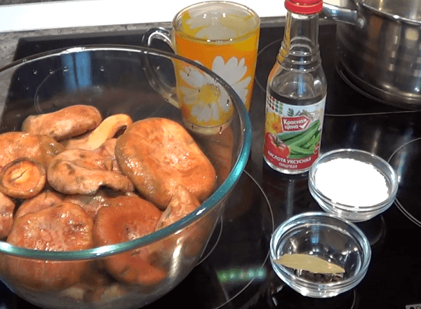 Грибы рыжики – как готовить на зиму быстро и вкусно!