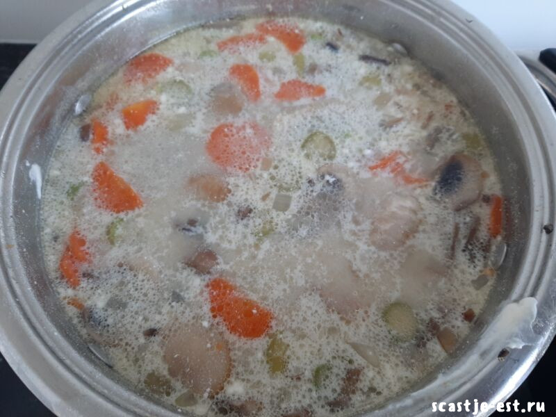 Вкусный грибной суп из шампиньонов - 5 простых и быстрых рецептов