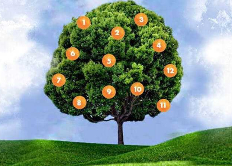 Гадание на дереве желаний: как привлечь удачу и исполнить мечты